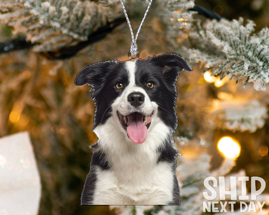 Personalized Dog Photo Ornament, Christmas Gifts, Memorial Gifts, Dog Lover Gifts, Pet Owner Gifts, Custom Christmas Picture Ornament