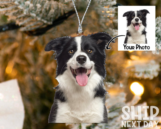 Personalized Dog Photo Ornament, Christmas Gifts, Memorial Gifts, Dog Lover Gifts, Pet Owner Gifts, Custom Christmas Picture Ornament